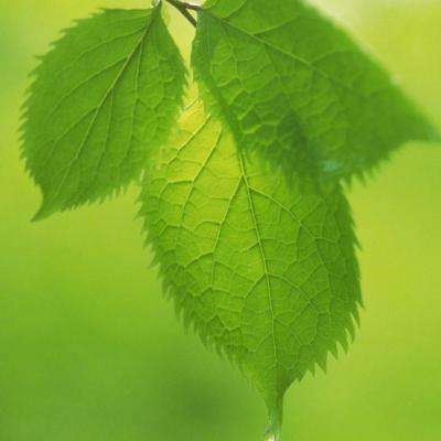 bat365(在线)官方网站