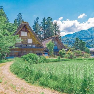 帝一娱乐app下载