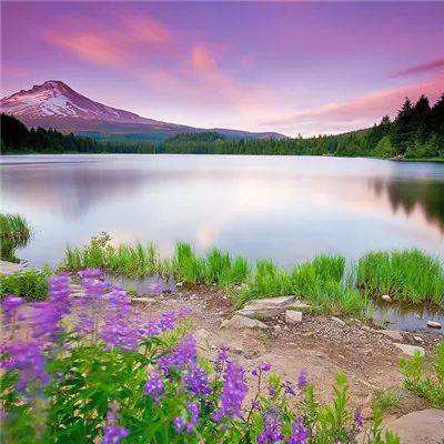 万博(ManBetx)app下载