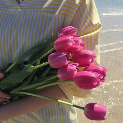 香港最准资料免费公开