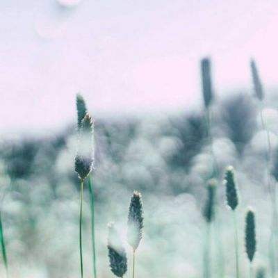 完美电竞平台app下载