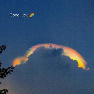 鸭脖体育app官网下载官方版