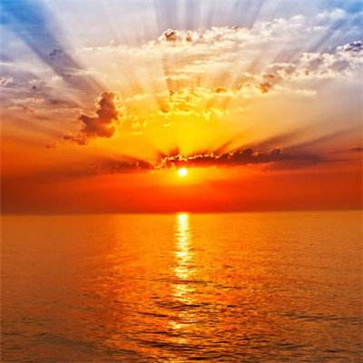 乐鱼官网手机app下载截图