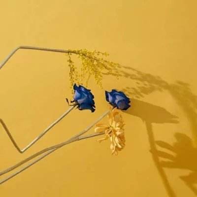 帝一娱乐app下载