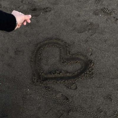 乐动体育网站官网版官方入口